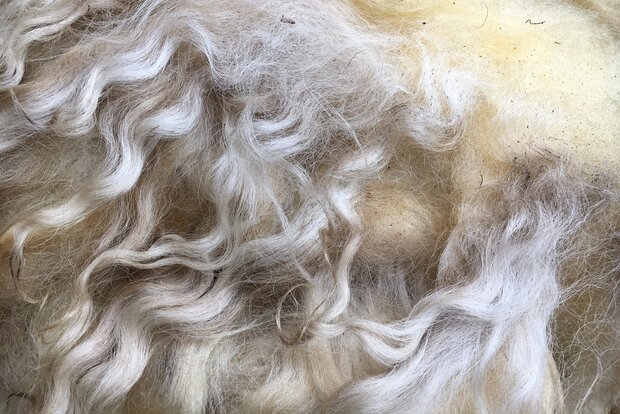 500 g A-Klasse - Zackelschaf (Naturfarben)