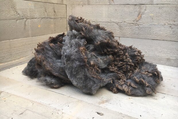 500 g A-Klasse - Finnisches Landschaf (Dunkelgrau)