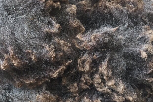 500 g A-Klasse - Finnisches Landschaf (Dunkelgrau)