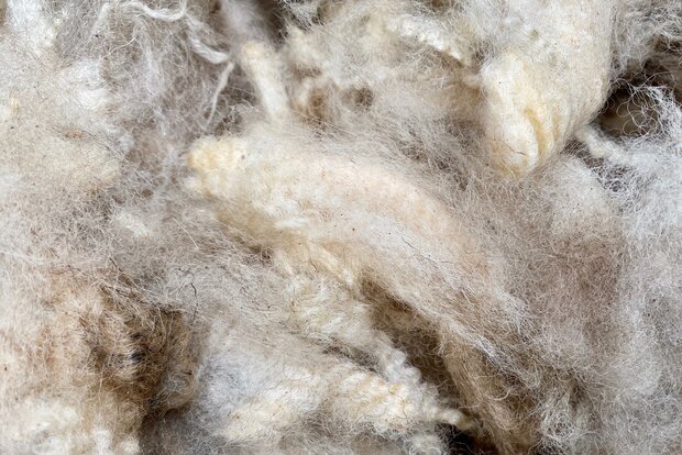 500 g A-Klasse - Entre-Sambre-Et-Meuse (Elfenbeinfarbig)