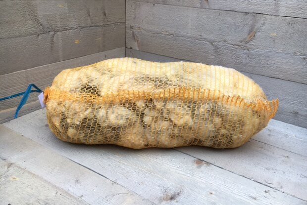 1 kg A-Klasse - Swifter (Elfenbeinfarbig)