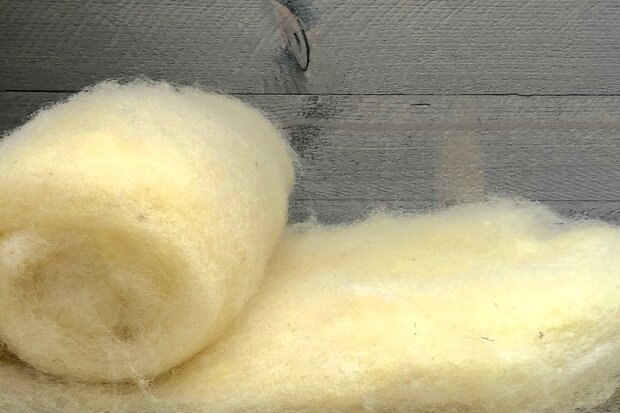 500 g gewaschene Vlieswolle - Llanwenog (Chamois)