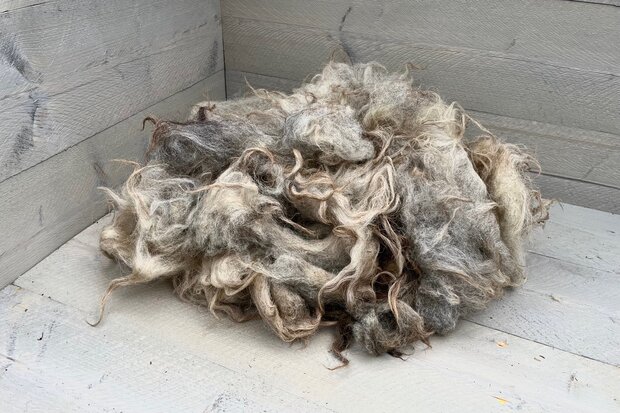 500 g A-Klasse - Drenter Heideschaf (Meliert)