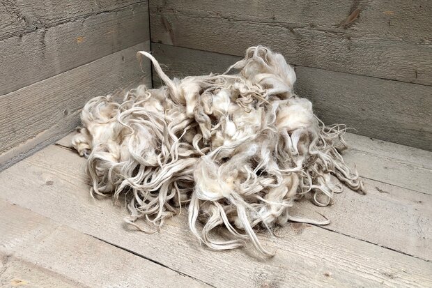 500 g A-Klasse - Moorschnucke (Elfenbeinfarbig)